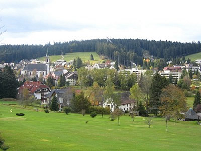 Ortsansicht Schönwald