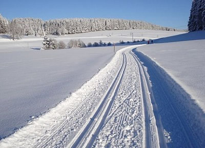 Schönwald, Baslertal