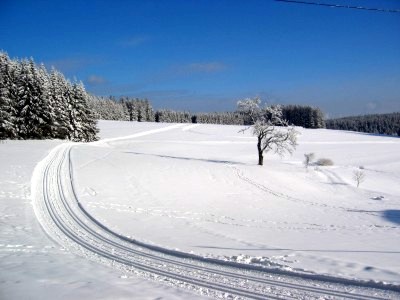 Escheck, Langlaufloipe